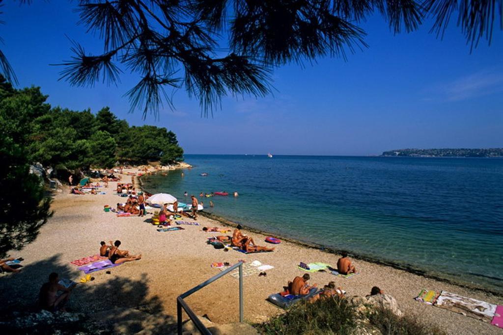 Lav * Umag