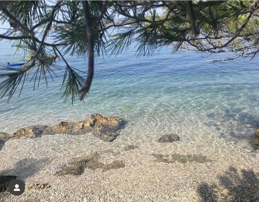 Lav * Umag